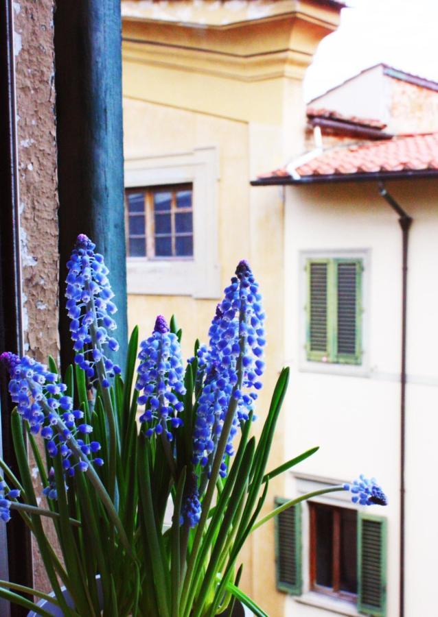 Appartamento In Via San Gallo Firenze Eksteriør billede